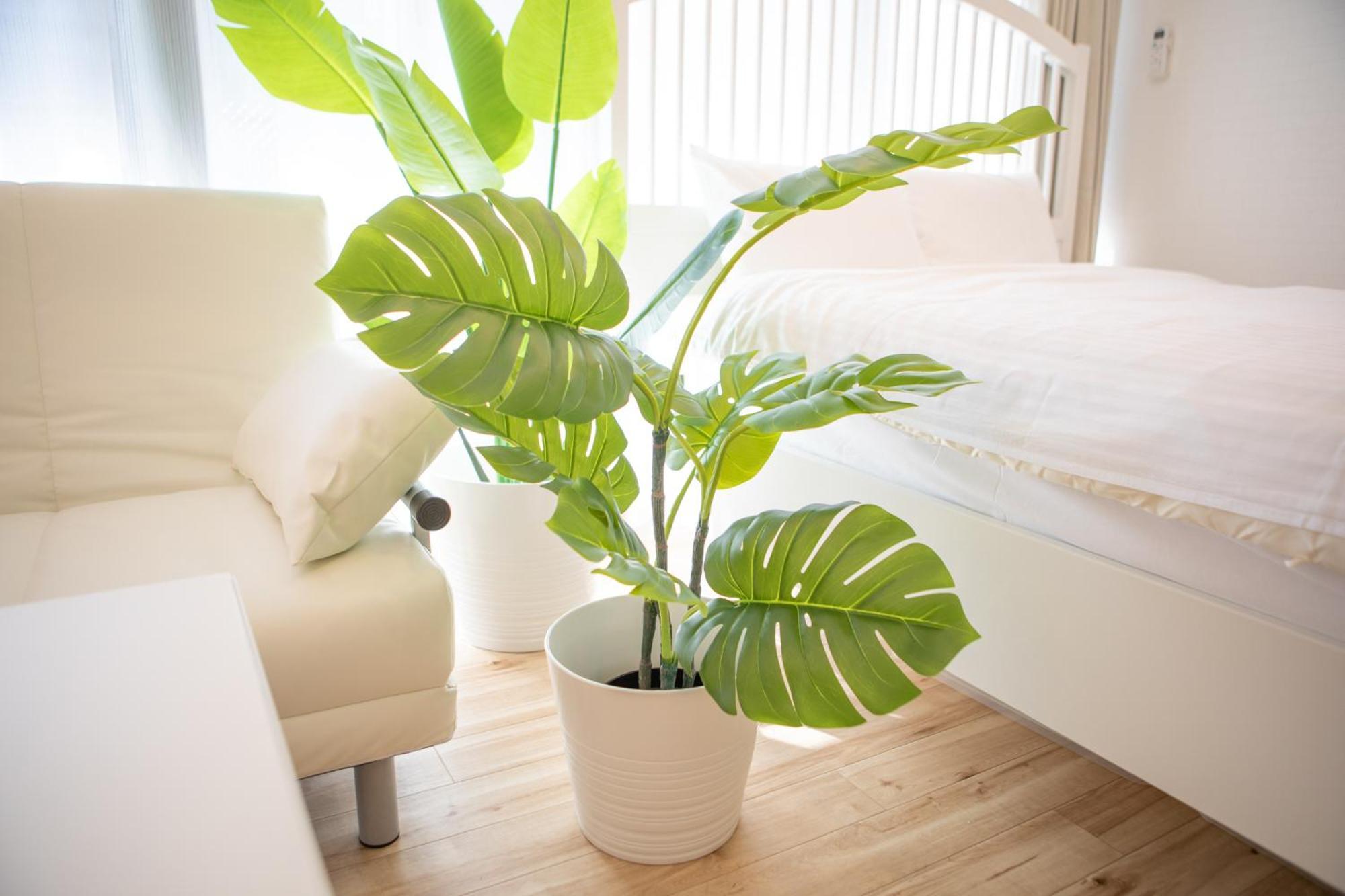 komagome cozy room Tokio Pokój zdjęcie